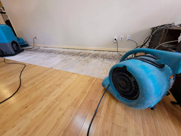 Professional Structural Drying technician working in West Des Moines, IA
